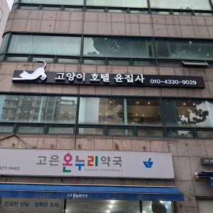 벽면형 단면 갈바레이저타공 LED전광채널 애완샵 간판