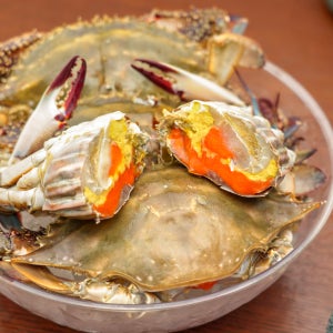 K꽃게 어부가 직접 판매하는 암꽃게 3kg 급냉