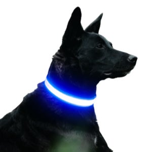 대형견목줄 강아지목줄 LED 발광 라이드 애견 목줄 산책줄