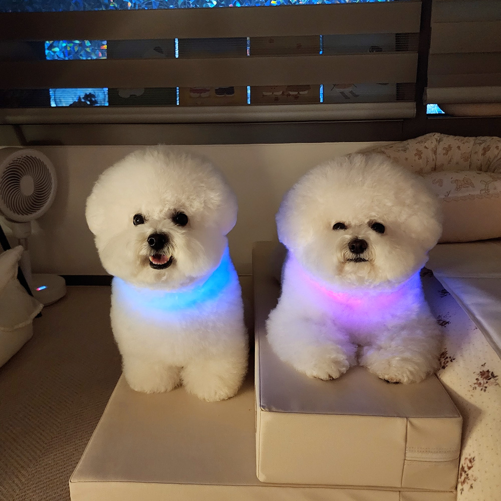 울트라웨이브 강아지 고양이 LED 야광 목걸이 애견 야간산책 불빛 목줄 밴드 인식표