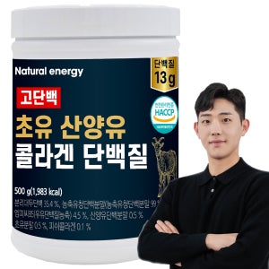 웰핏 고단백 산양유 단백질 쉐이크 분말 초유 파우더 가루 대용량 500g, 1개