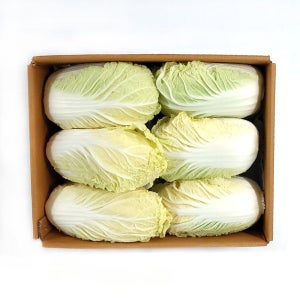 푸레아 수입산 국내산 알배기배추 반박스 6통 한박스12통 쌈배추 가락시장 당일새벽경매