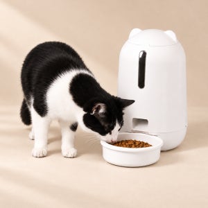 페키움 강아지 고양이 자동 급식기 도자기 밥그릇 PKM-010
