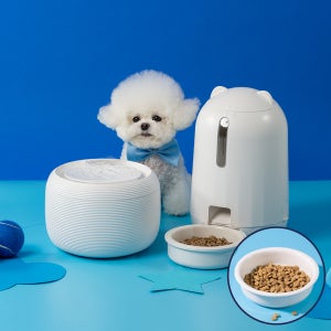 페키움 강아지 고양이 애견 자동 정수기 급식기 음수대 급수기 기획세트