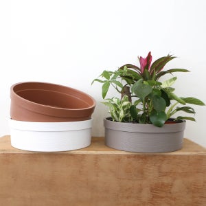 모둠 플리츠 화분 낮은 플라스틱 화분 다육이