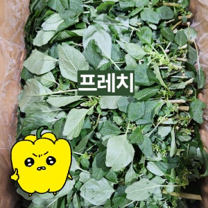프레치 국내산 비름나물 4kg