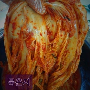 숙성 / 찌개용 / 묵은지 배추 포기 김치 5kg 태백골 샬롬 김치