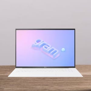 LG전자 2023 그램17 17ZD90R-EX7VK (Win11 HOME / SSD 1TB / RAM 32GB) HMC