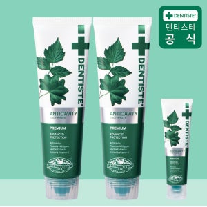 덴티스테 안티캐비티 충치예방 불소치약 100g 2개 20g 1개 불소함량 1450ppm