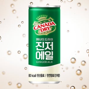 캐나다드라이 진저에일 250ml 30캔 하이볼 믹서 탄산 음료수 토닉 캔음료
