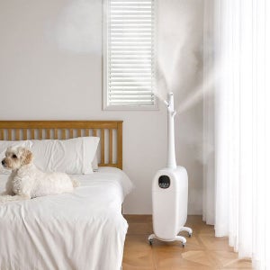 신일 자동습도조절 UV살균 상부급수 대용량 초음파가습기 25L/굴뚝 가정용 사무실 업소용가습기