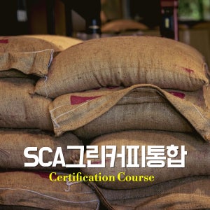 SCA 그린빈 통합과정(foundation+Intermediate)