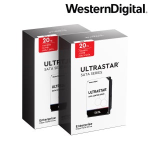 [WD공식총판점] Ultrastar HC560 20TB WUH722020BLE6L4 2PACK 패키지 무상3년 20TBx2 40TB 서버 NAS (20TB 2개 묶음)