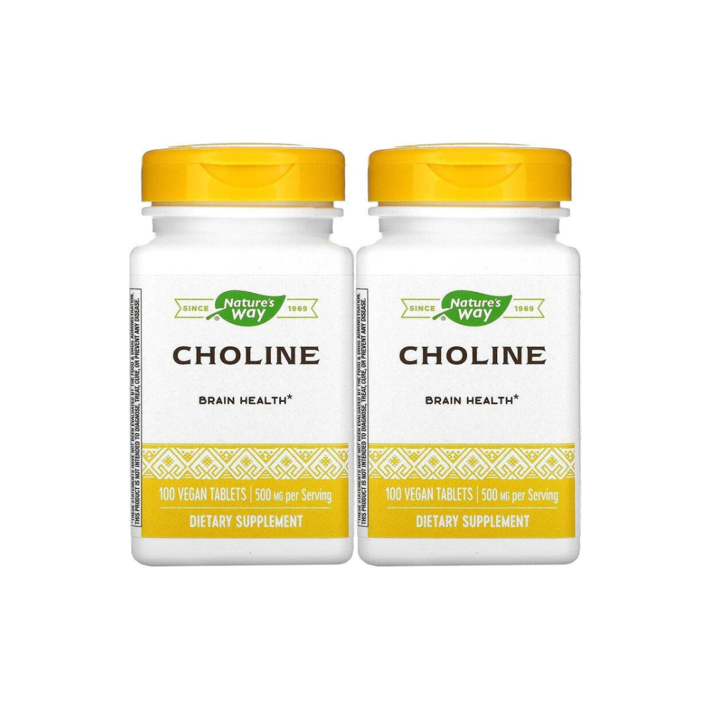 <b>네이쳐스웨이</b> 콜린 Choline <b>기억력</b> 500mg 100베지타블렛 X2