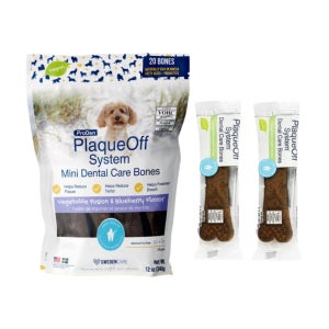 프로덴 플라그오프 덴탈껌 케어본 미니 블루베리&혼합야채 340g