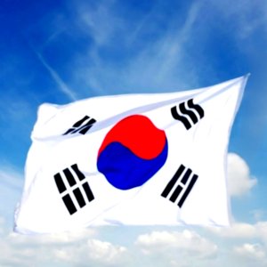 게양용 태극기 국산 대형 응원용 행사용 방수태극기