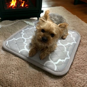 멜리우스 강아지전기장판 고양이전기방석 극세사