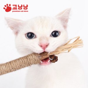 고양이 캣닢 장남감 마따따비 개다래 나무 치갈이장난감