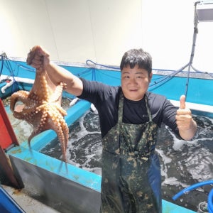 남해안 돌문어 1kg 문어숙회 자연산 문어