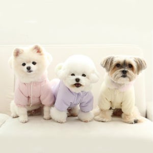 이츠독 솜사탕 베어 소프트 패딩 S-3XL 따듯하고 귀여운 강아지방한복