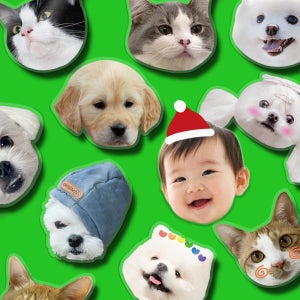 맥세이프호환 아크릴 그립 톡홀더 주문 제작 아기 강아지 고양이 반려견 자유형 투명(일반겔타입) 얼굴