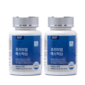 BSF 프리미엄 그리스 키오스 매스틱 검 정 600mg x 90정, 2개