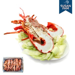 자숙 랍스터 하프컷 4.54kg 캐나다 프리미엄 랍스타 (국내가공)