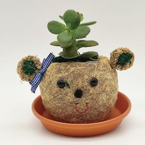 잔디인형 재료 수태 곰 토피어리 다육식물 화분 만들기