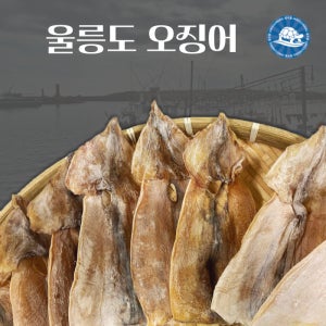 울릉도 마른 건오징어 파품 파지 (10마리) 500g내외 /국산 배오징어