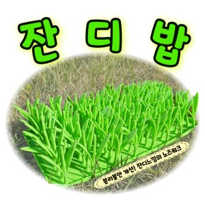 딩독 노즈워크 꼬마김밥 바스락 간식 장난감