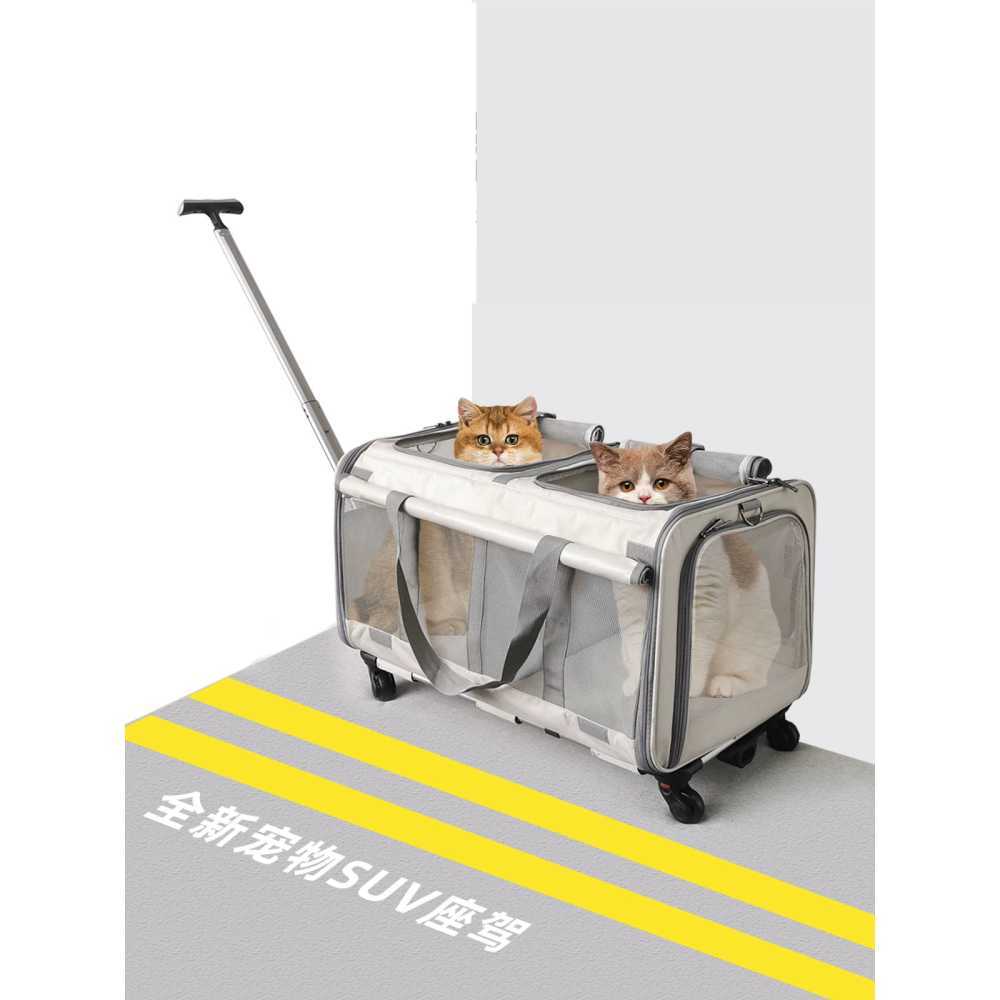몬스터 고양이 캐리어 (Monster Cat Carrier)
