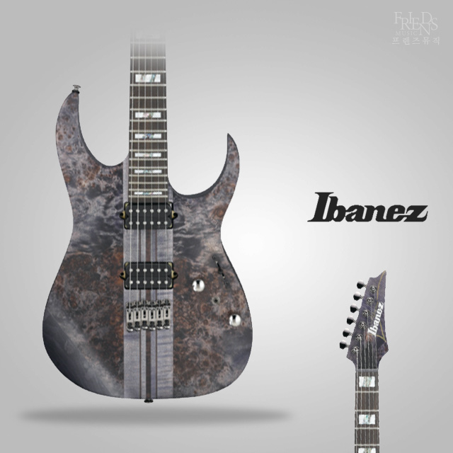 Ibanez 아이바네즈 일렉기타 RGT1221PB 연주용 고급구성세트