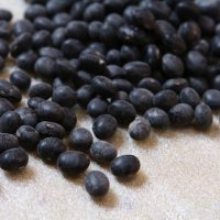 봉황뜰 국내산 서리태 2kg(1kg+1kg) / 2023년산