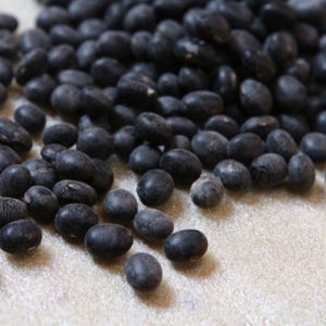 봉황뜰 국내산 서리태 2kg(1kg+1kg) / 2025년산