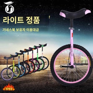 외발 자전거 코어운동 피트니스 밸런스바이크