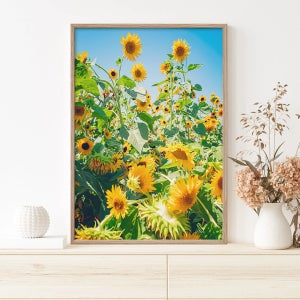 풍수인테리어 해바라기 001 A2 행운 돈들어오는 현관 거실액자