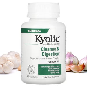 쿄릭 Kyolic 숙성 마늘 600mg 100정 교릭 Garlic 고약사 약들약