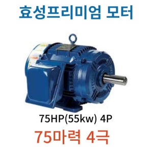 75마력 4극 55Kw 4P 삼상 효성 프리미엄 전폐형모터