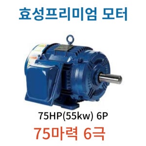 75마력 6극 55Kw 6P 삼상 효성 프리미엄 전폐형모터