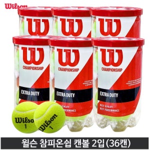 윌슨 참피언쉽 테니스공 2개입 36캔 1박스