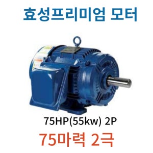 75마력 2극 55Kw 2P 삼상 효성 프리미엄 전폐형모터