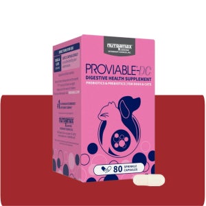 뉴트라맥스 프로바이어블 DC 80캡슐 Proviable-DC 강아지 고양이 유산균