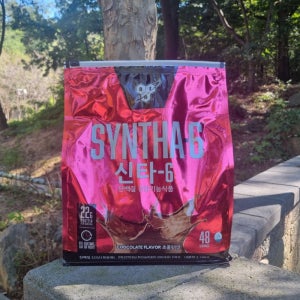 코스트코 신타6 단백질 보충제 - 초콜릿맛 2.26kg