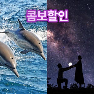 [콤보팩]괌 여행 필수 투어 2가지 돌핀크루즈+별빛투어 후기좋은 파란크루즈+별밤지기(구 별밤사진관) 패키지