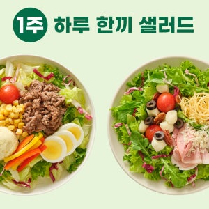 [저스트그린] 정기배송 프리미엄 토핑 샐러드 7종 1주일 구성 / 야채 식단 도시락 당일 신선 간편 데일리 구독 7팩