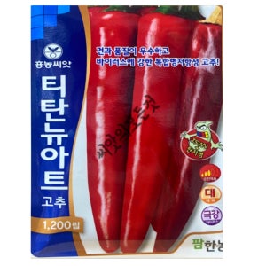 티탄뉴아트 복합내병계 고추씨앗 종자 70000립 대포장 대용량 육묘납품용 순한매움고추씨앗