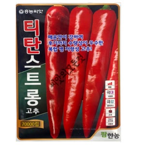 티탄스트롱 고추씨앗 70000립 대포장 대용량 육묘 납품고추종자