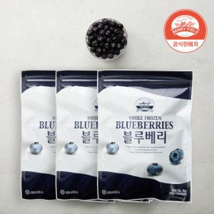 냉동 블루베리 칠레산 베리필드 | 요거트토핑 스무디 베이킹 카페재료