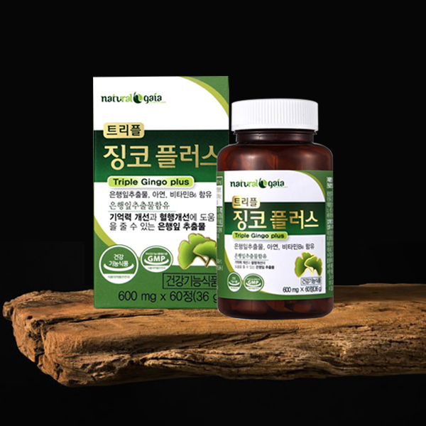 기억력 징코 은행잎추출물 1통(2개월) 두뇌 혈액 순환 케어