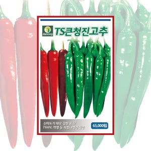 다농 TS큰청진고추 65,000립 채소 종자